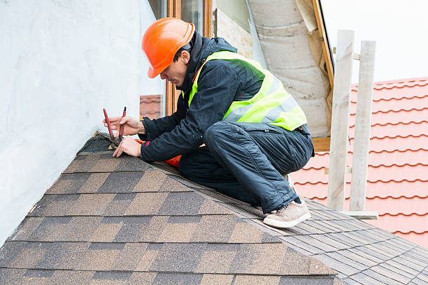 Best Roof Gutter Cleaning  in Berryville, AR